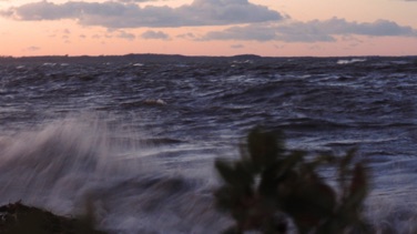 STRANDVEJEN, LYSTRUP STRAND. Høj vandstand i efterårsblæsten.